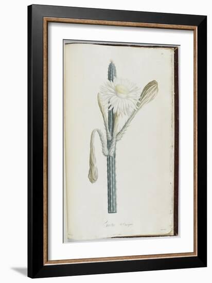 Description des plantes rares que l'on cultive à Navarre et à Malmaison-Pierre-Joseph Redouté-Framed Giclee Print