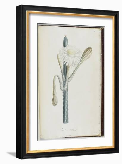 Description des plantes rares que l'on cultive à Navarre et à Malmaison-Pierre-Joseph Redouté-Framed Giclee Print