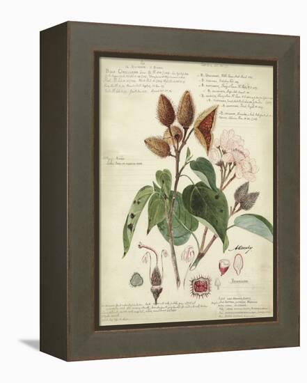 Descube Botanical V-null-Framed Stretched Canvas