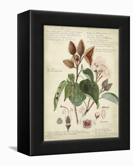 Descube Botanical V-null-Framed Stretched Canvas