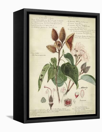 Descube Botanical V-null-Framed Stretched Canvas