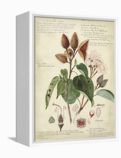 Descube Botanical V-null-Framed Stretched Canvas