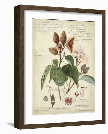 Descube Botanical V-null-Framed Art Print