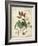 Descube Botanical V-null-Framed Art Print