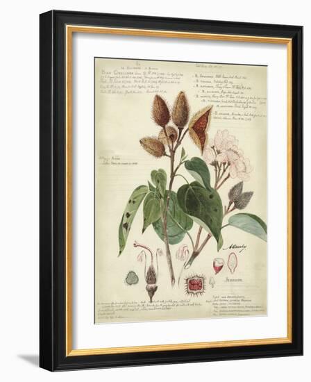 Descube Botanical V-null-Framed Art Print