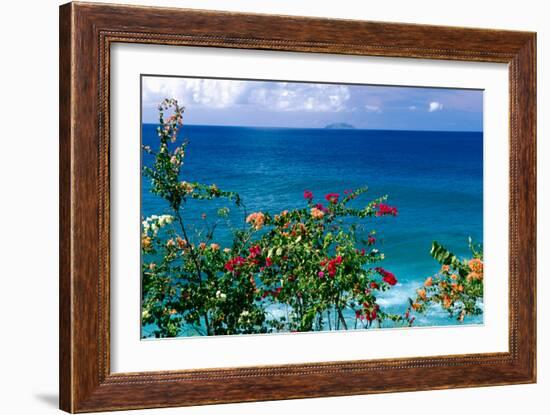 Desecheo Island View, Rincon, Puerto Rico-George Oze-Framed Photographic Print