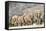 Desert-adapted Elephants-Tony Camacho-Framed Premier Image Canvas