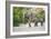 Desert-adapted Elephants-Tony Camacho-Framed Photographic Print