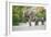 Desert-adapted Elephants-Tony Camacho-Framed Photographic Print