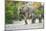 Desert-adapted Elephants-Tony Camacho-Mounted Photographic Print