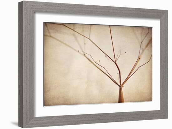 Desert Afterlife 1A-Jessica Rogers-Framed Giclee Print