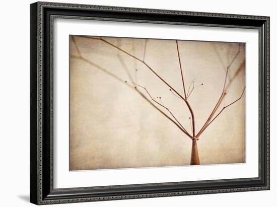 Desert Afterlife 1A-Jessica Rogers-Framed Giclee Print