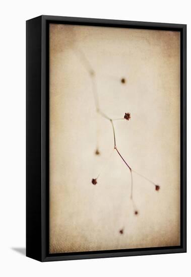 Desert Afterlife 1C-Jessica Rogers-Framed Premier Image Canvas