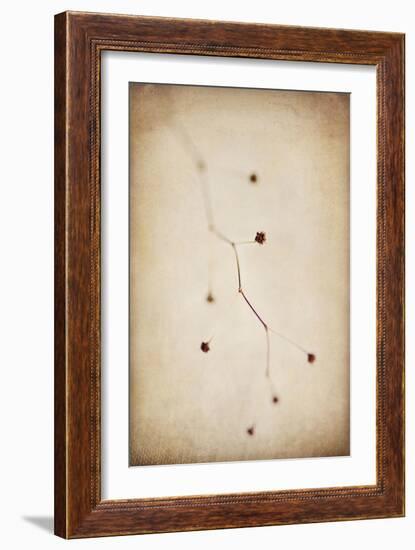 Desert Afterlife 1C-Jessica Rogers-Framed Giclee Print