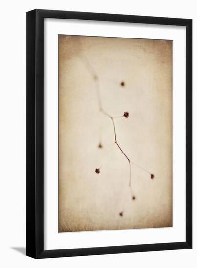 Desert Afterlife 1C-Jessica Rogers-Framed Giclee Print