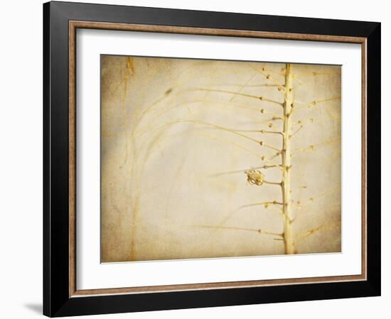 Desert Afterlife 2A-Jessica Rogers-Framed Giclee Print