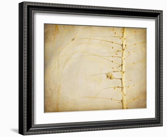 Desert Afterlife 2A-Jessica Rogers-Framed Giclee Print