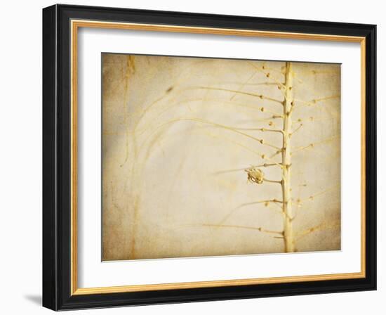 Desert Afterlife 2A-Jessica Rogers-Framed Giclee Print