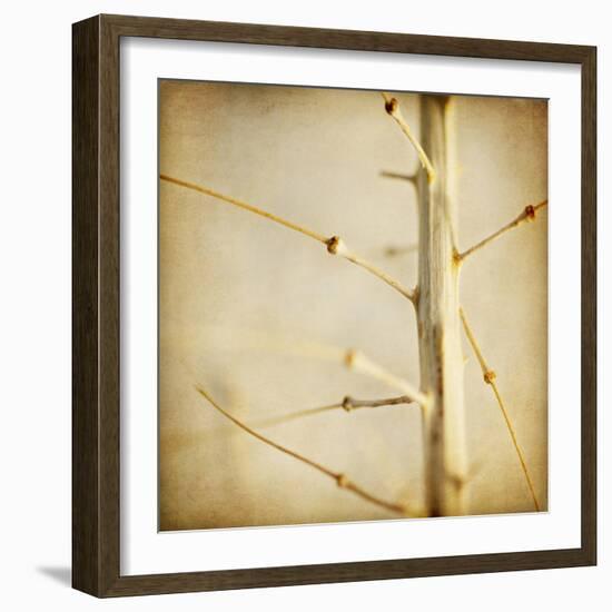 Desert Afterlife 2C-Jessica Rogers-Framed Giclee Print