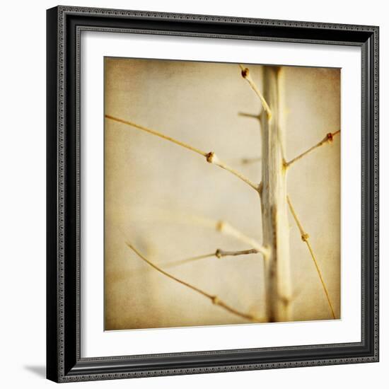 Desert Afterlife 2C-Jessica Rogers-Framed Giclee Print