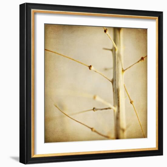 Desert Afterlife 2C-Jessica Rogers-Framed Giclee Print