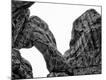 Photographic Print