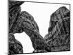 Photographic Print