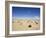 Desert Between Moroccan Border and Nouadhibou, Mauritania, Africa-Jane Sweeney-Framed Photographic Print