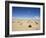 Desert Between Moroccan Border and Nouadhibou, Mauritania, Africa-Jane Sweeney-Framed Photographic Print