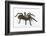 Desert Blond Tarantula-DLILLC-Framed Photographic Print