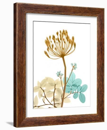 Desert Bloom 2-Albert Koetsier-Framed Photo