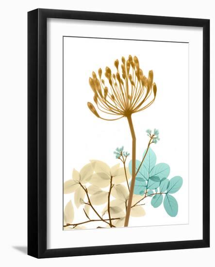 Desert Bloom 2-Albert Koetsier-Framed Photo