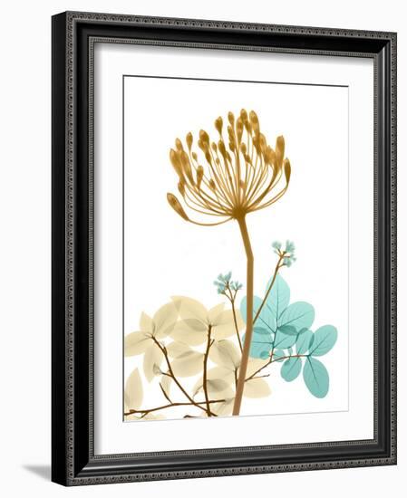 Desert Bloom 2-Albert Koetsier-Framed Photo