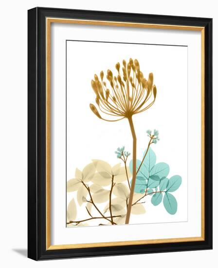 Desert Bloom 2-Albert Koetsier-Framed Photo