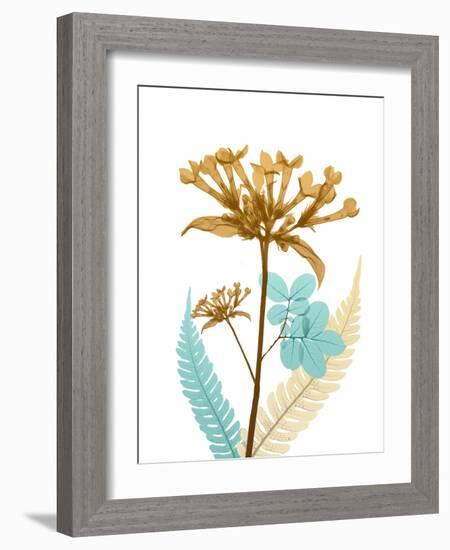 Desert Bloom 3-Albert Koetsier-Framed Photo