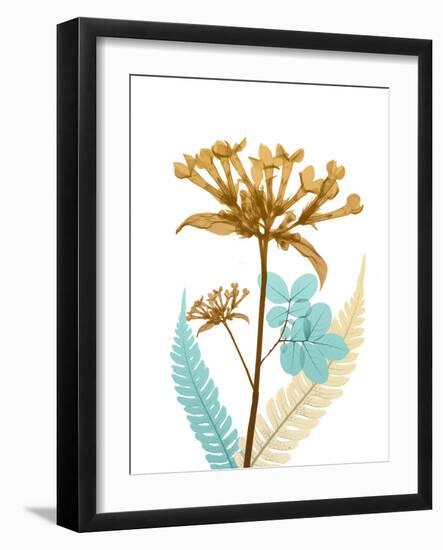 Desert Bloom 3-Albert Koetsier-Framed Photo