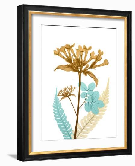 Desert Bloom 3-Albert Koetsier-Framed Photo