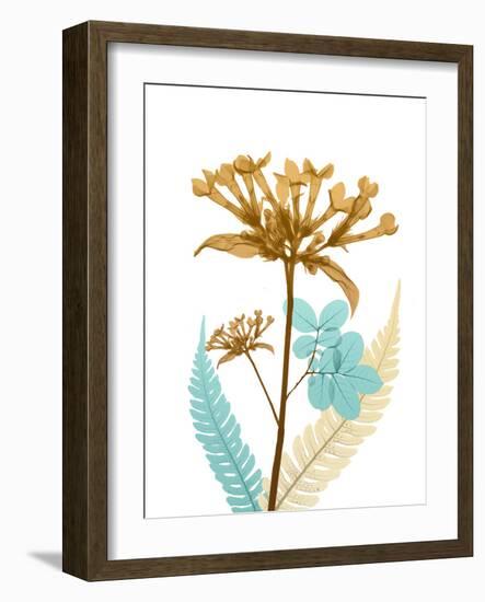 Desert Bloom 3-Albert Koetsier-Framed Photographic Print