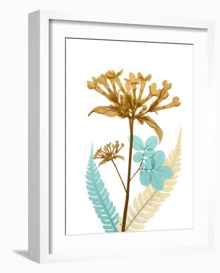 Desert Bloom 3-Albert Koetsier-Framed Photographic Print