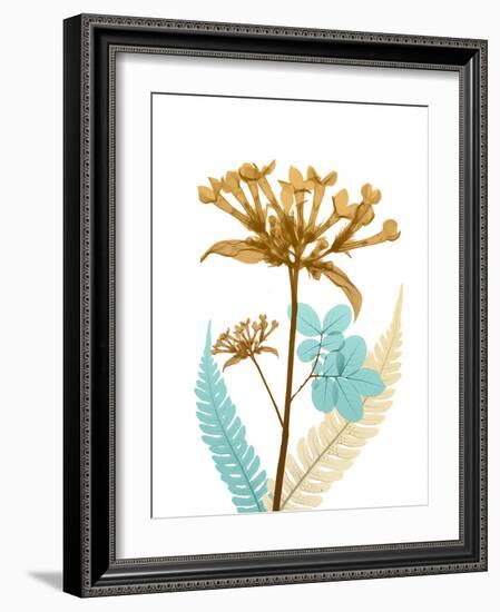 Desert Bloom 3-Albert Koetsier-Framed Photographic Print