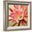 Desert Bloom I-Jason Higby-Framed Premium Giclee Print