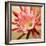 Desert Bloom I-Jason Higby-Framed Premium Giclee Print