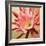 Desert Bloom I-Jason Higby-Framed Premium Giclee Print