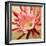 Desert Bloom I-Jason Higby-Framed Premium Giclee Print