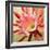 Desert Bloom I-Jason Higby-Framed Premium Giclee Print