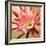 Desert Bloom I-Jason Higby-Framed Premium Giclee Print