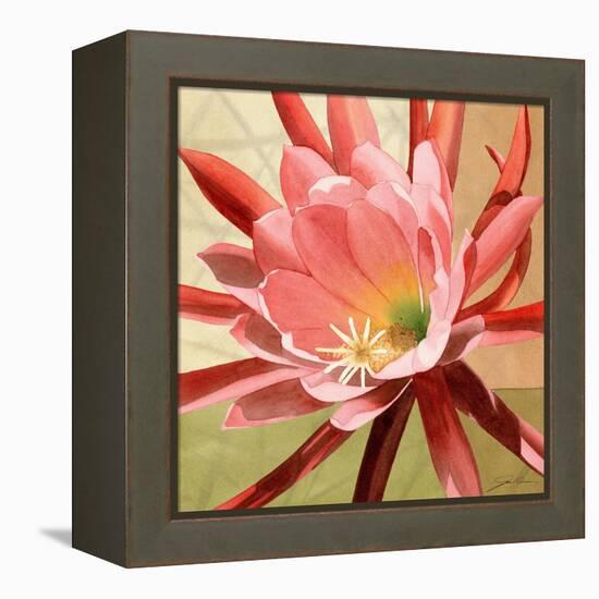 Desert Bloom I-Jason Higby-Framed Stretched Canvas