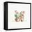 Desert Bloom VI-Daphne Brissonnet-Framed Stretched Canvas