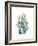 Desert Blooms I-Grace Popp-Framed Premium Giclee Print