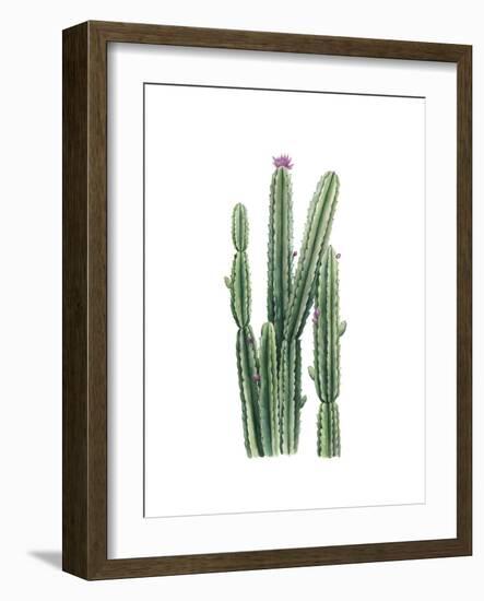 Desert Blooms II-Grace Popp-Framed Premium Giclee Print